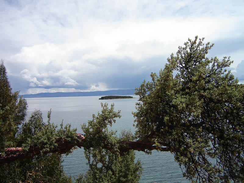 Bolivia, lago Titicaca.