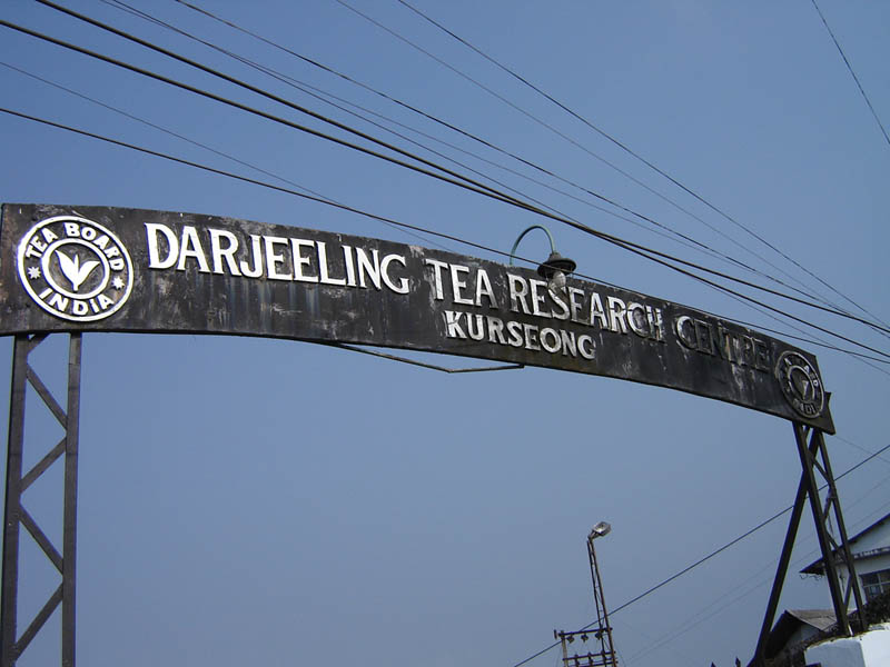 Darjeeling, il Tea Research Center.