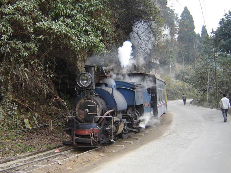 Il trenino per Darjeeling.