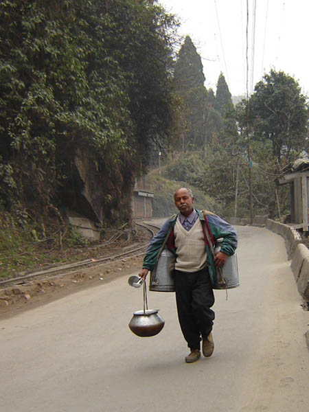 Darjeeling, il Lattaio.