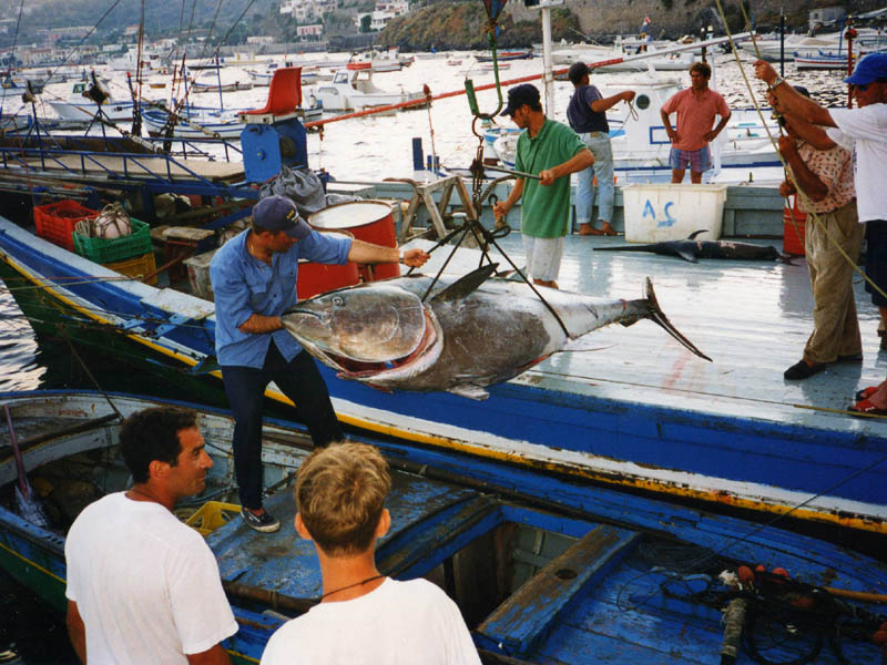 Lipari, Pesca grossa sulla Spadara