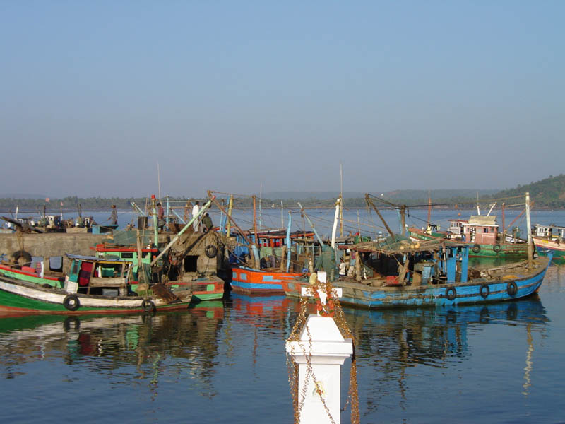 India, barche da pesca.