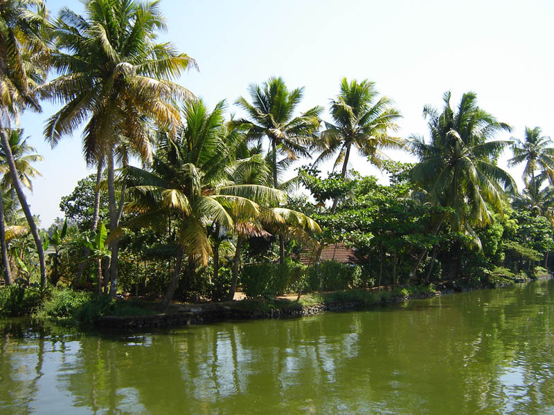 India, Kerala - Lagune interne.
