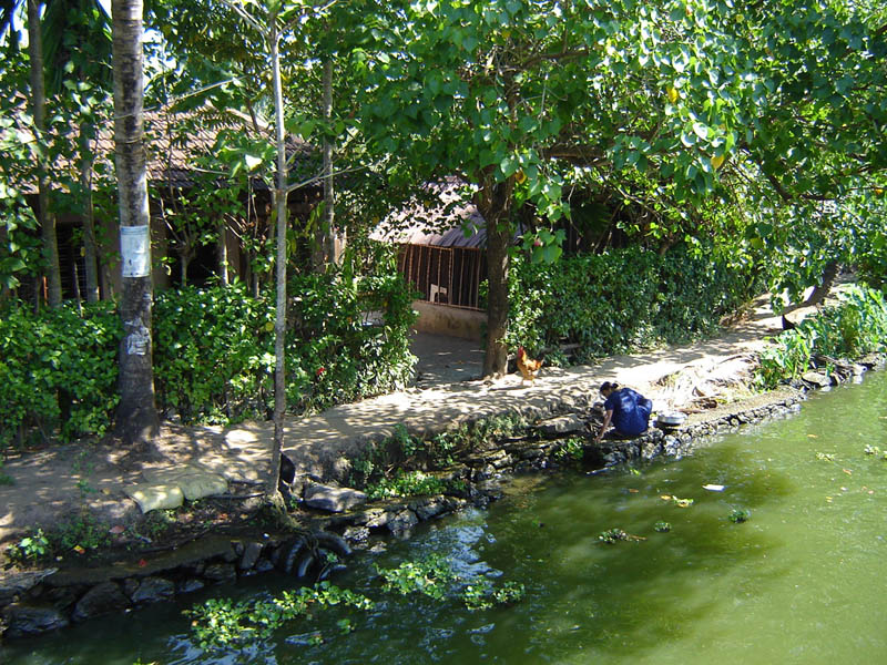 India, Kerala - isole nelle lagune.