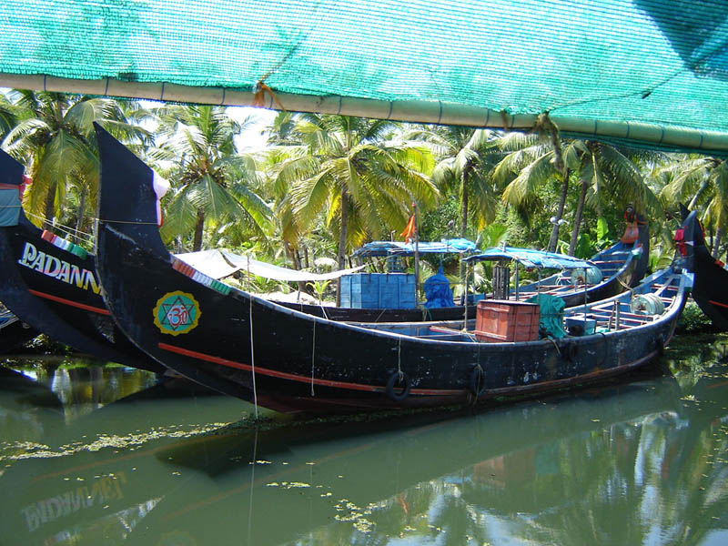 India, Kerala - Le barche della laguna.