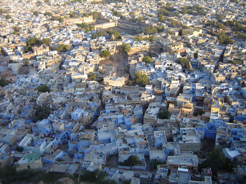 Jodhpur, veduta del Reticolo urbano dal Forte Meherangarh.