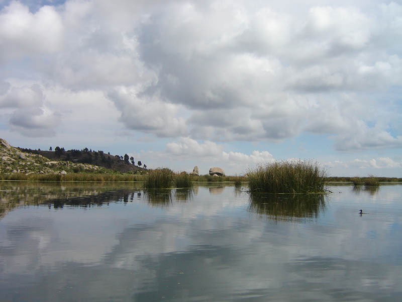 Perù, lago Titicaca