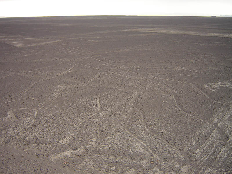 Linee di Nazca