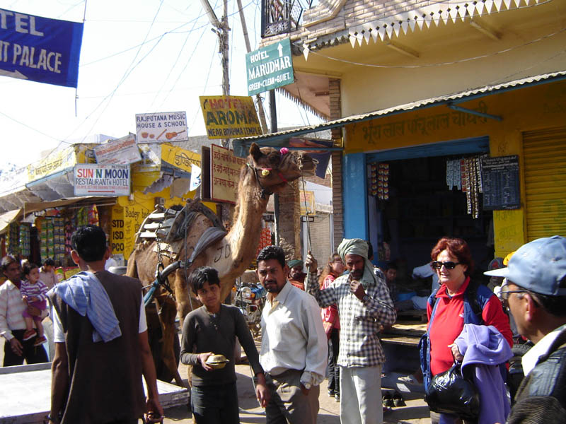 Pushkar, Centro.