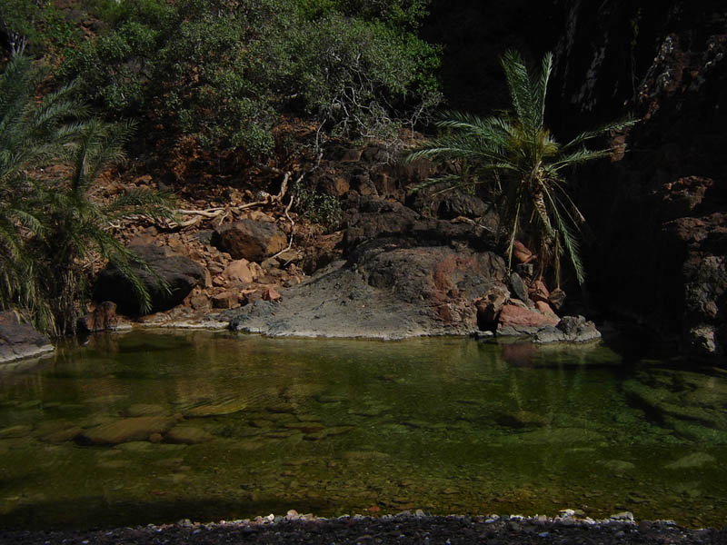 Socotra, l'oasi montana del Wadi Dirhur