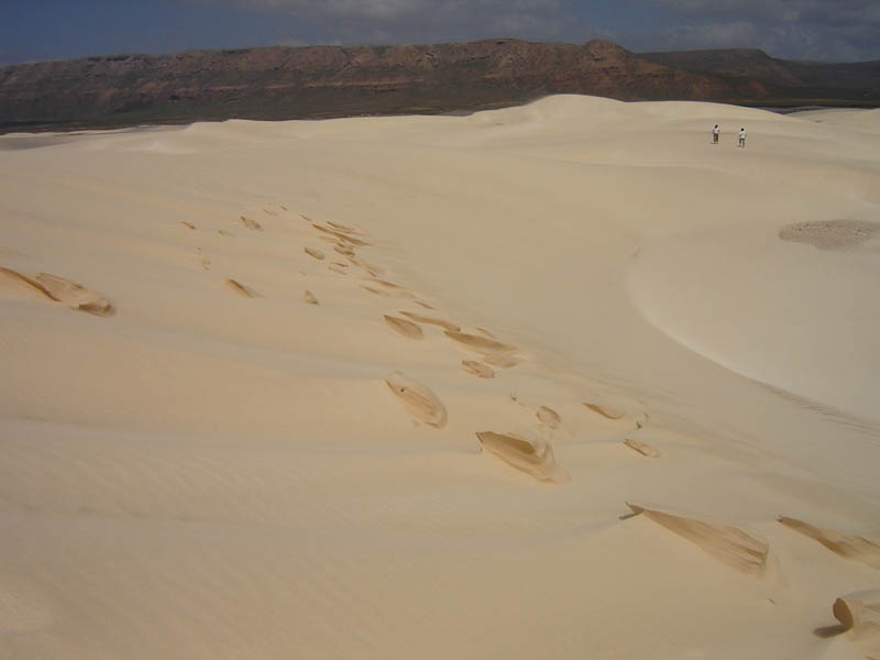 Socotra, orme sulle dune