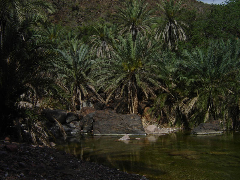 Socotra, il Wadi Dirhur