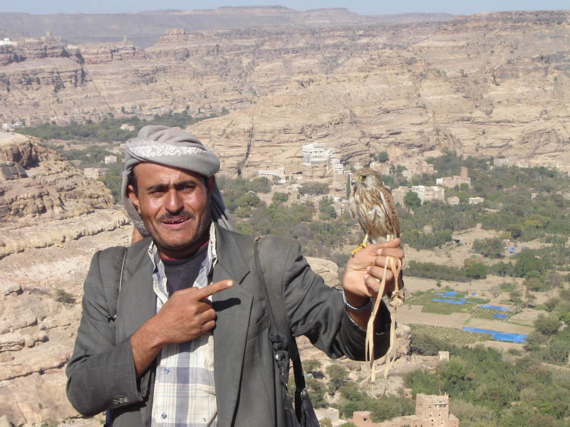 Yemen, il Falconiere