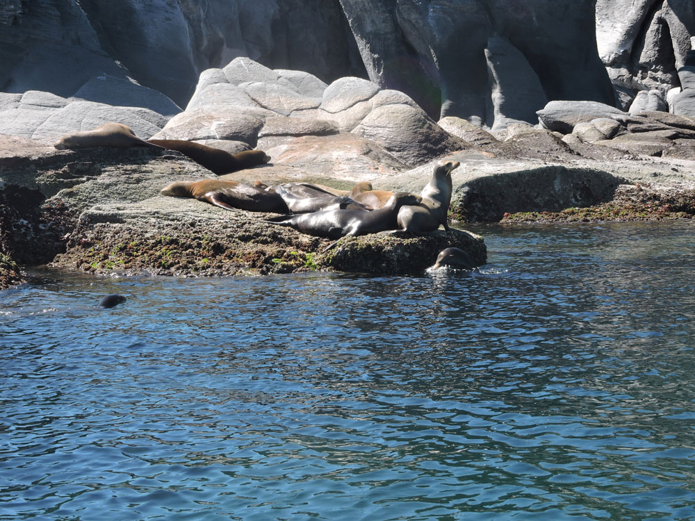 Baja California, 