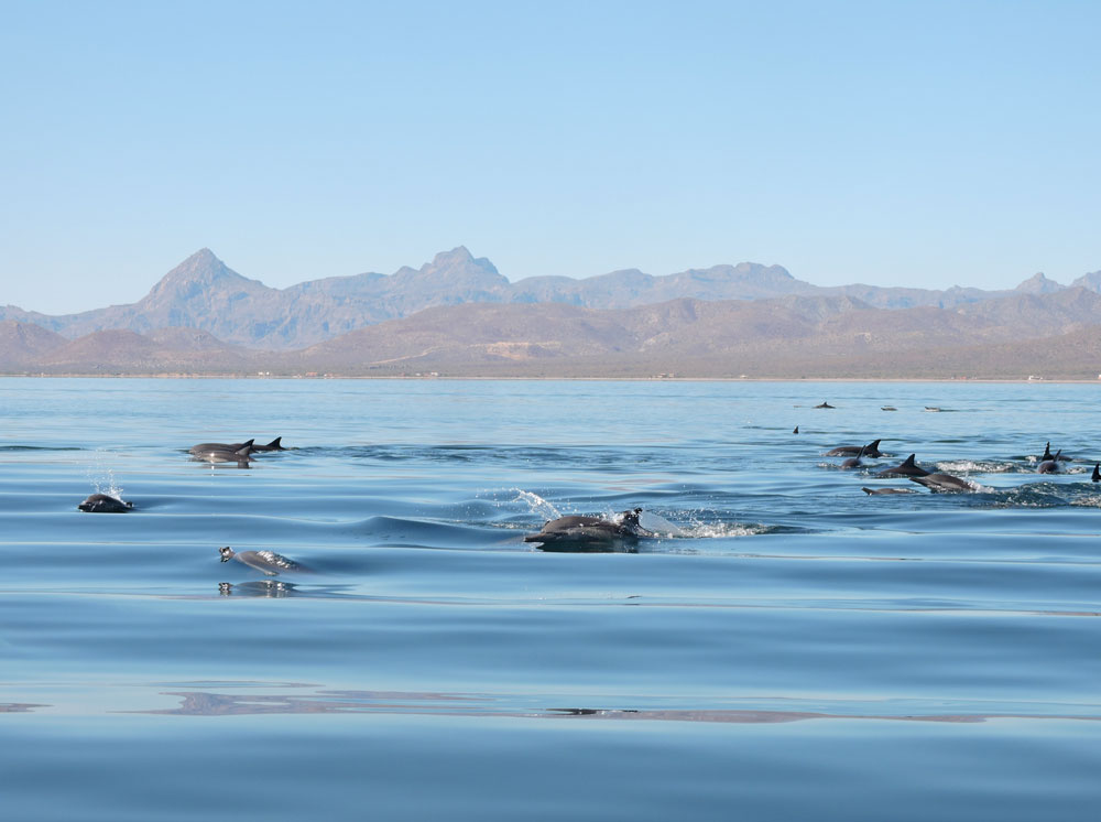 Baja California, 