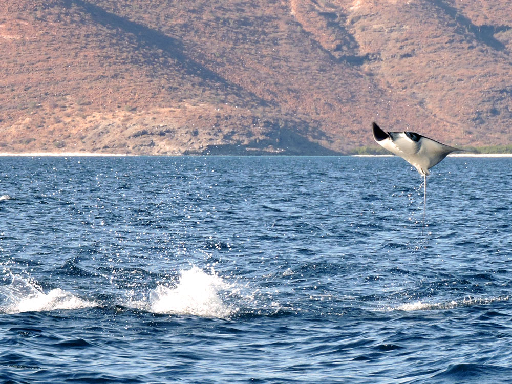 Baja California, 