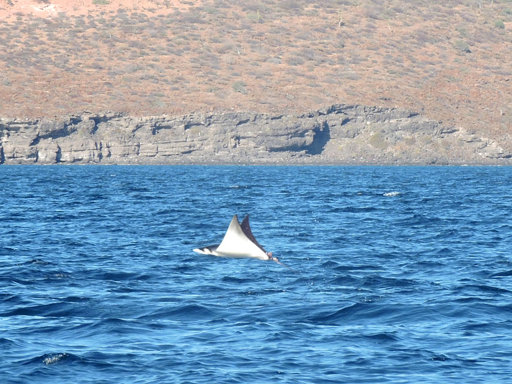 Baja California, 