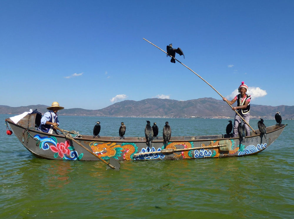 Yunnan, pesca con i cormorani