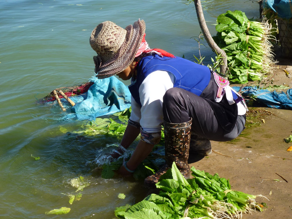 Yunnan, mondaverdura