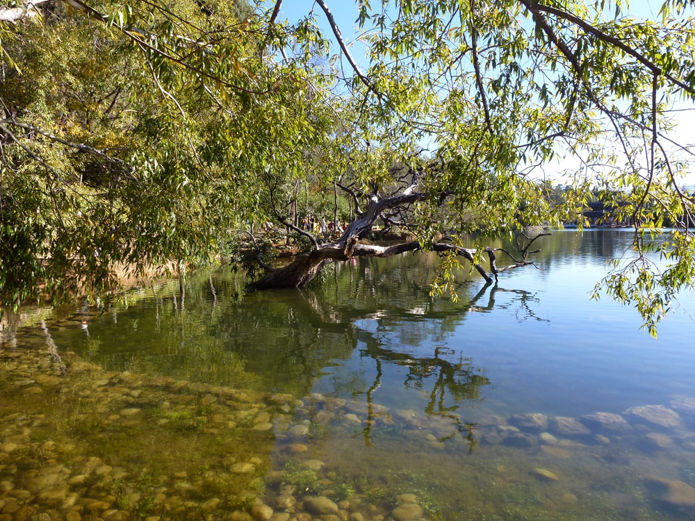 Yunnan, Parco Drago Nero