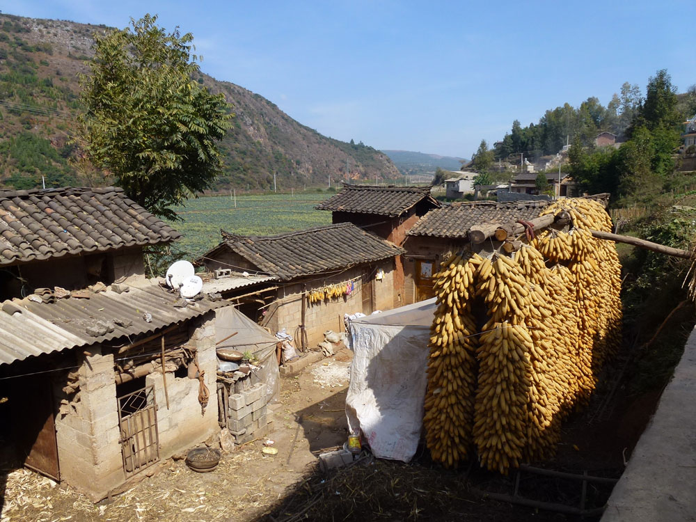 Yunnan, pannocchie di granoturco